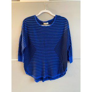 NWOT Dana Buchman Blue Stripe Blocked Dolman Crewneck Sweater